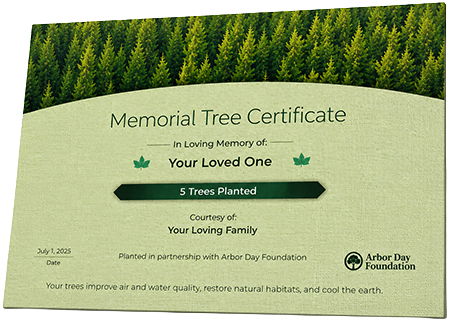 Plant Trees in Memory of Betty Ann Braddy Henley